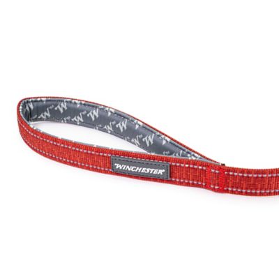 Image showing  Deluxe Reflective Carabiner Dog Leash