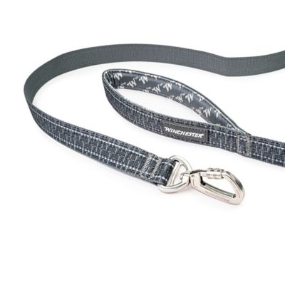 Image showing  Deluxe Reflective Carabiner Dog Leash
