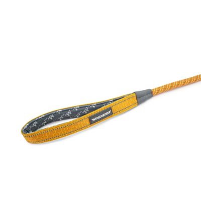 Image showing  Deluxe Rope Leash