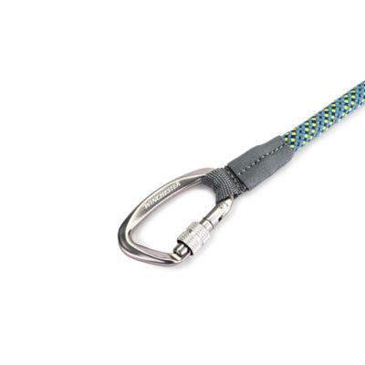 Image showing  Deluxe Training Rope Leash