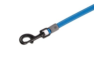 Image showing  Retractable Dog Leash