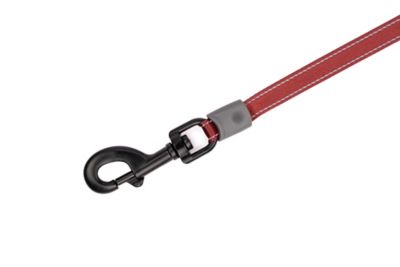 Image showing  Retractable Dog Leash