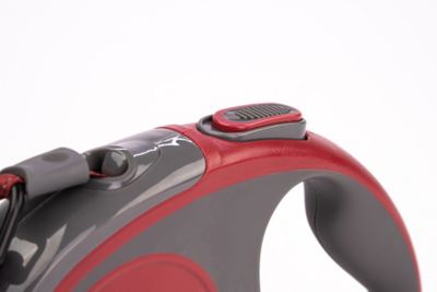 Image showing  Retractable Dog Leash