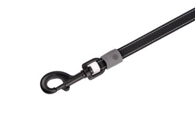 Image showing 2 th Winchester Pet Retractable Dog Leash