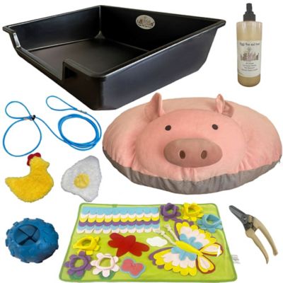 Piggy Poo and Crew Pig Bundle Starter Pack Pet Toys