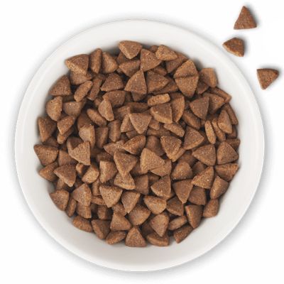 Image showing 9 th Tiki Cat Born Carnivore Indoor Health Dry Cat Food, Chicken & Turkey Meal, 6 lb. Bag