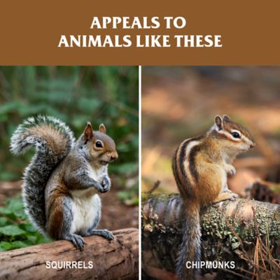 Image showing  Wild Life Block, 20 lb.