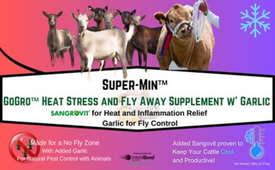 Image showing  Heat Stress and Fly Away Supplement with Garlic Economy Pail, 20 lb.