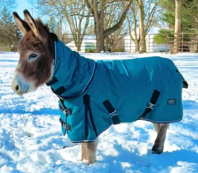 Star Point Horsemanship 1200 G Heavyweight 350 Gram Hooded Horse Blanket