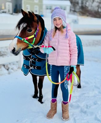 Image showing  1200 G Heavyweight 350 Gram Hooded Horse Blanket