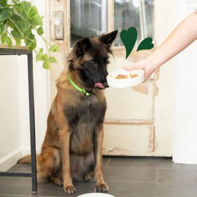 Image showing 9 th Greenies Smart Topper Grain-Free Beef, Peas and Carrots Wet Dog Food Topper, 2 oz.