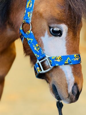 Star Point Horsemanship Printed Horse Stable Halter