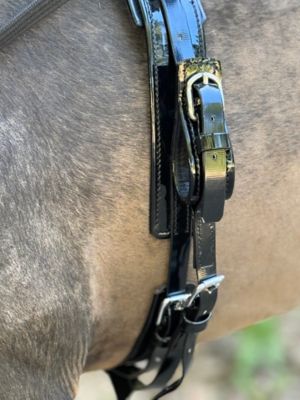 Image showing  Miniature Horse Driving Complete Harness Set