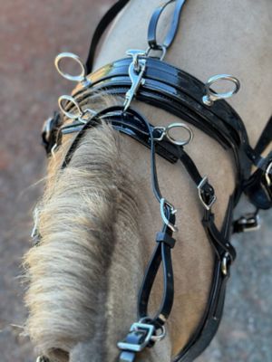 Image showing  Miniature Horse Driving Complete Harness Set