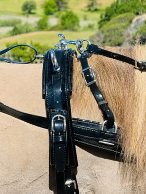 Image showing 5 th Star Point Horsemanship Miniature Horse Driving Complete Harness Set
