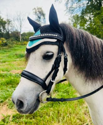 Star Point Horsemanship Miniature Horse Black Leather Bridle & Reins Set