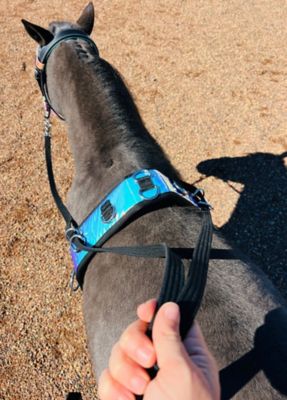 Star Point Horsemanship Miniature Horse-Pony Ground Driving Loop Reins 12 ft. Length