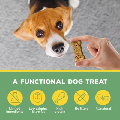 Image showing  Chicken Dog Biscuits, 8 oz.