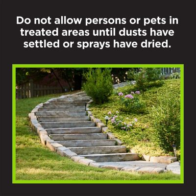 Image showing  Moss B Ware, 4 lb.