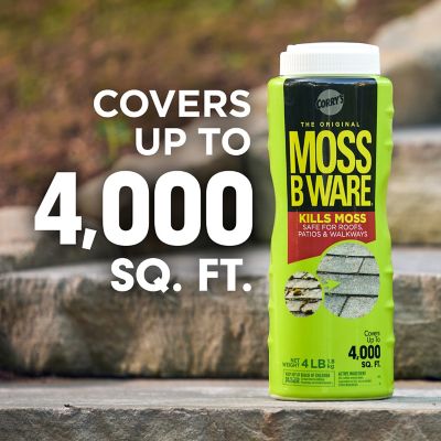 Image showing  Moss B Ware, 4 lb.