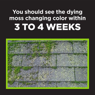 Image showing  Moss B Ware, 4 lb.