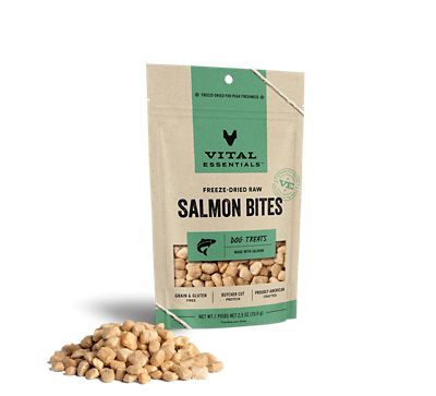 Vital Essentials Freeze Dried Raw Salmon Bites Dog Treats, 2.5 oz.