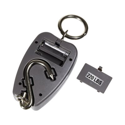 Image showing 5 th K'Netix Newton Digital Bow Scale By Allen