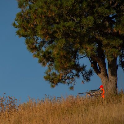 Image showing  Men's New Softshell Blaze Hunting Vest, Medium, Blaze Orange