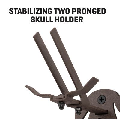 Image showing  New EZ Mount Skull Hanger, Fixed, Brown