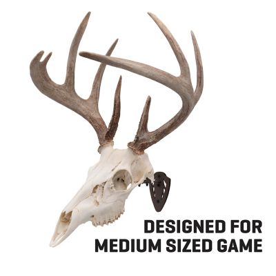 Image showing  New EZ Mount Skull Hanger, Fixed, Brown
