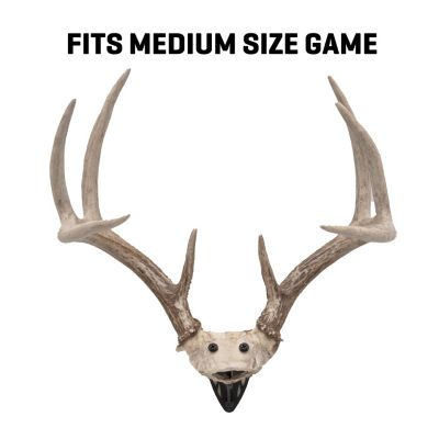 Image showing  New EZ Mount Horn Bracket, Black