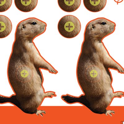 Image showing  Prairie Dog Shooting Targets, 8 in. Square, 13 pk.