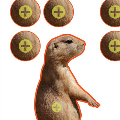 Image showing  Prairie Dog Shooting Targets, 8 in. Square, 13 pk.