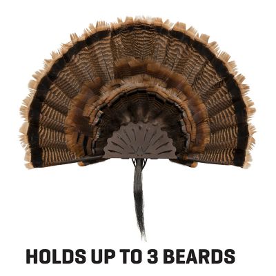 Image showing  New EZ Mount Turkey Fan Display, Brown