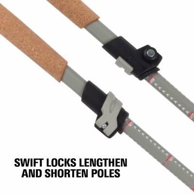 Image showing 6 th Terrain Alpha Vertex Carbon Trekking Poles, Canyon Sunset, 22012