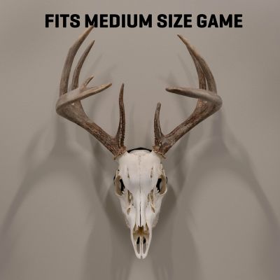 Image showing  New EZ Mount Silhouette Skull Peg, Black