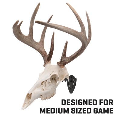 Image showing  New EZ Mount Skull Hanger, Fixed, Black