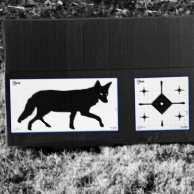 Image showing  New Thermal ID Grid Bullseye Paper Target, 12 in. x 12, in. Gray