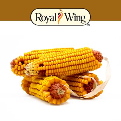 Image showing  Ear Corn Box, 40 lb.