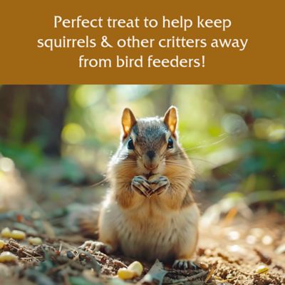 Image showing  Ear Corn Box, 40 lb.