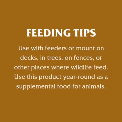 Image showing 5 th Royal Wing Ear Corn Box, 40 lb.