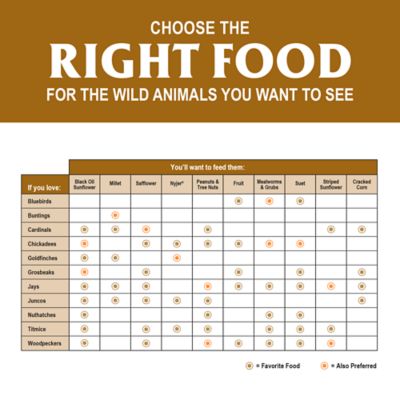 Image showing 6 th Royal Wing Ear Corn Box, 40 lb.
