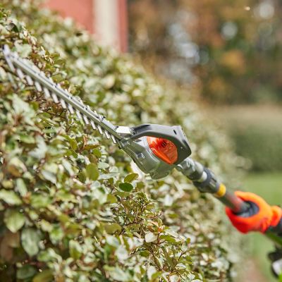 Image showing  520iHT4 22 in. 40V Cordless Hedge Trimmer, Battery and Charger Not Included