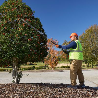 Image showing  525iHE3 24 in. 40V Cordless Hedge Trimmer, Battery and Charger Not Included