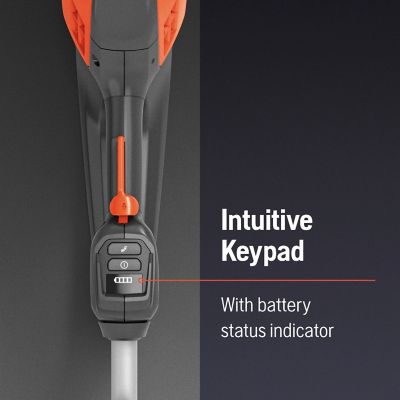 Image showing  530iPT5 10 in. 40V Cordless Pole Saw, Battery and Charger Not Included