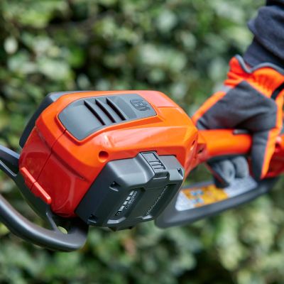 Image showing  BLi200 5.0 Ah 40V Battery