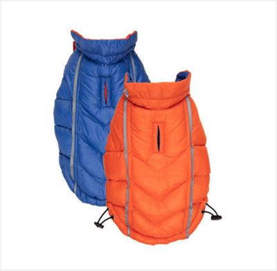 Hip Doggie Featherlite Reversible Dog Coat, Blue Orange