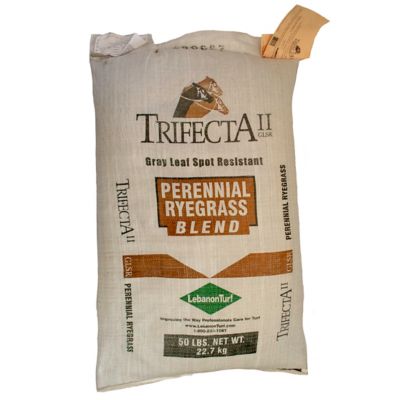 Image showing  Gray Leaf Spot Resistant Perennial Ryegrass Blend, Bag, 50 lb.