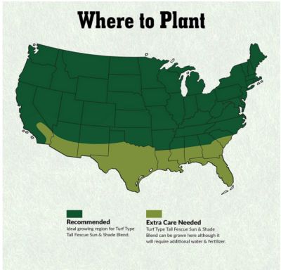 Image showing  Turf Type Tall Fescue Grass Seed Blend Bag, 50 lb.