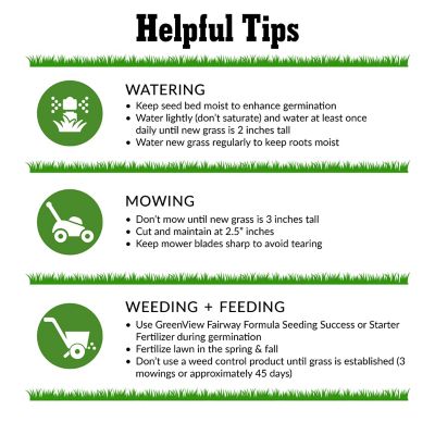 Image showing  Turf Type Tall Fescue Grass Seed Blend Bag, 50 lb.